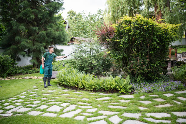 Best Local Pest Control Services  in Garrett, IN