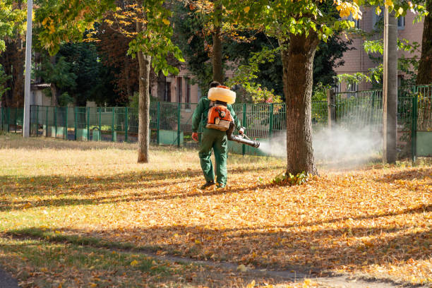 Reliable Garrett, IN Pest Control Solutions