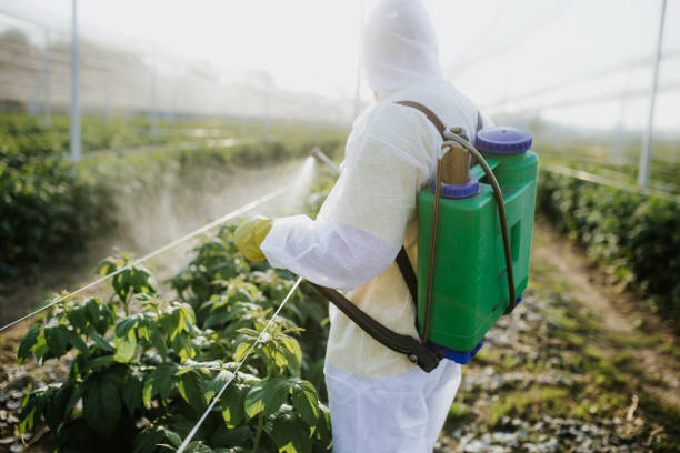 Best Pest Removal Services  in Garrett, IN